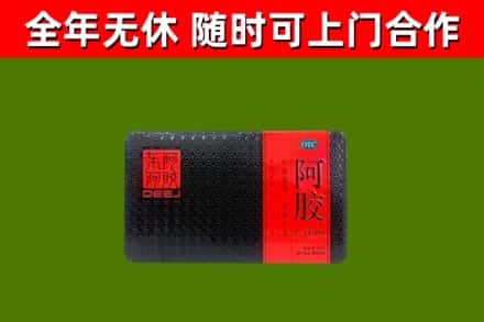 五华县回收阿胶