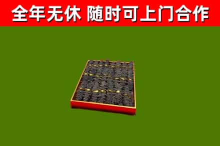 五华县回收海参